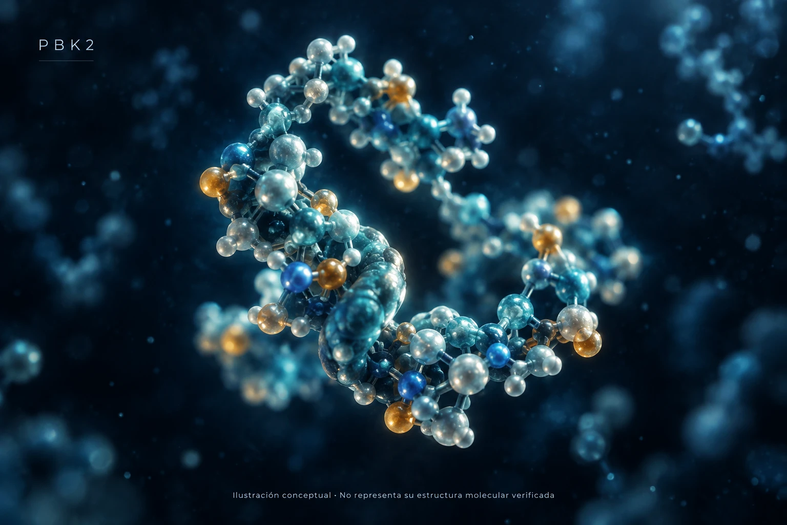 Conceptual peptide illustration, not a resolved molecular structure